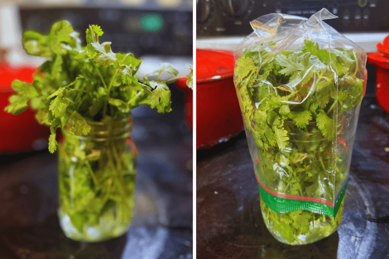 Quick Garden Fresh Salsa Verde - A Hint of Homestead