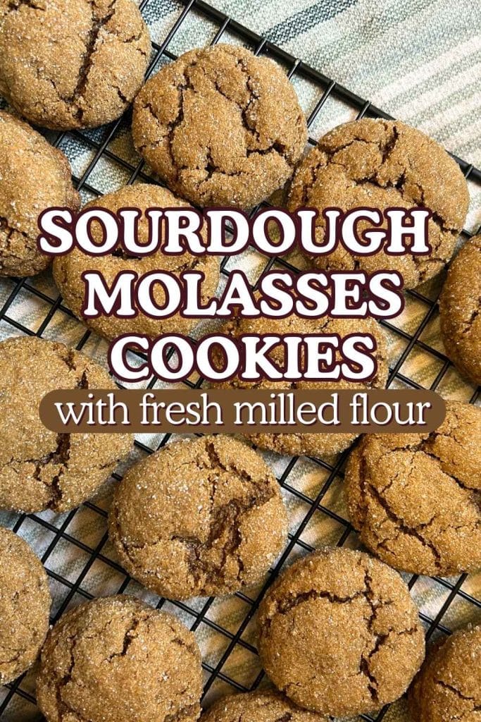 Sourdough Molasses Cookies with fresh milled flour pinterest image
