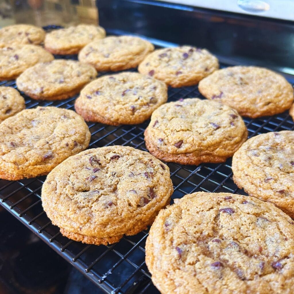 sourdough chocolate chip cookies with fresh milled flour
