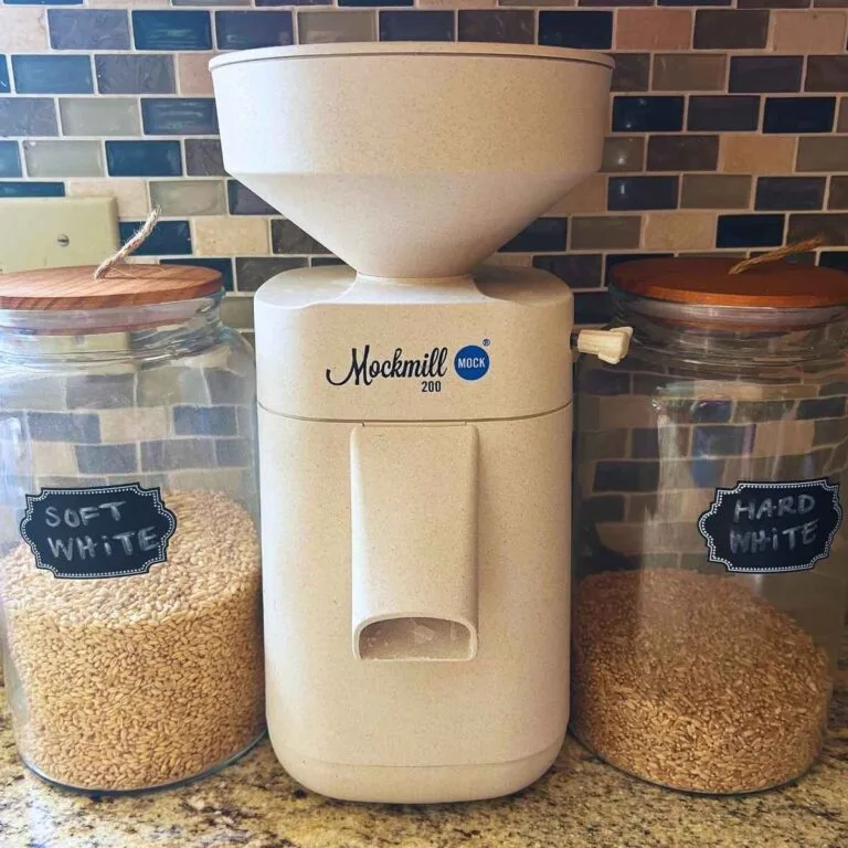 Mockmill grain mill next to glass jars of hard white and soft white wheats