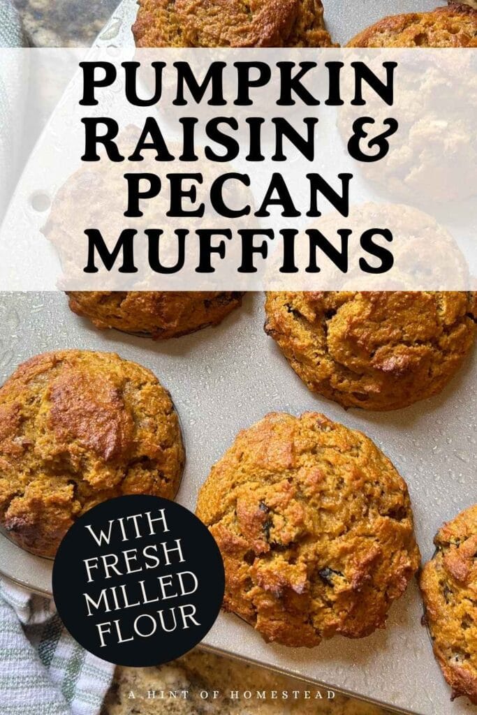 pinterest image for pumpkin, raisin, pecan muffins made with fresh milled flour