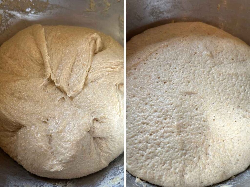 comparison images of kneaded dough and bulk risen dough