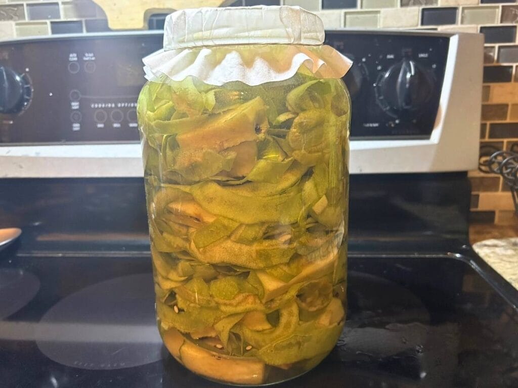large mason jar full of fermented apple scraps