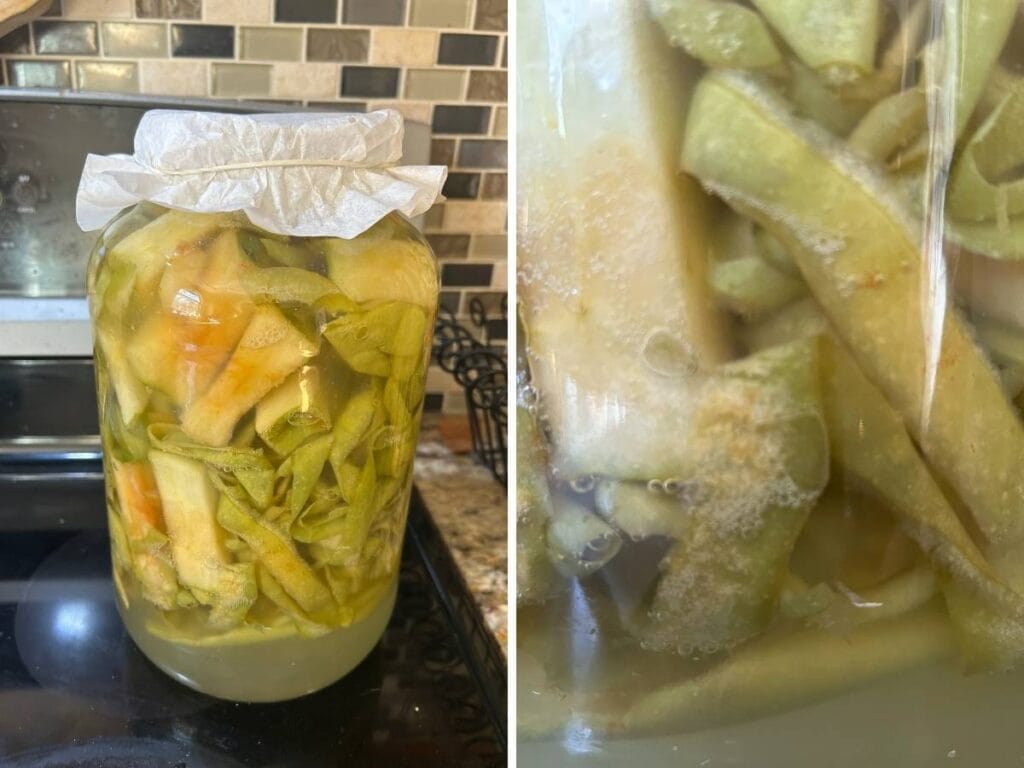 large mason jar full of apple scrap vinegar starting to ferment with a close up of bubble that have formed