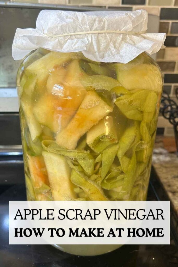 large jar of apple scraps for pinterest image