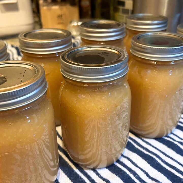 canned jars of applesauce