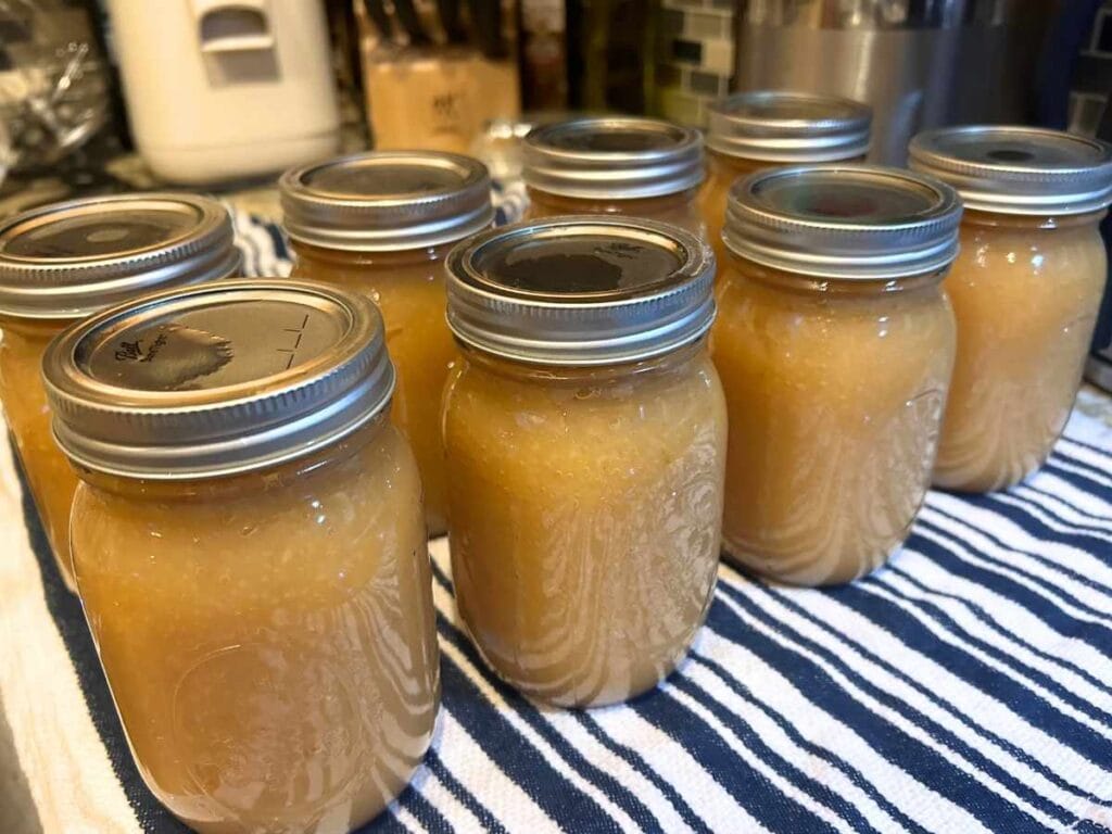 canned jars of applesauce