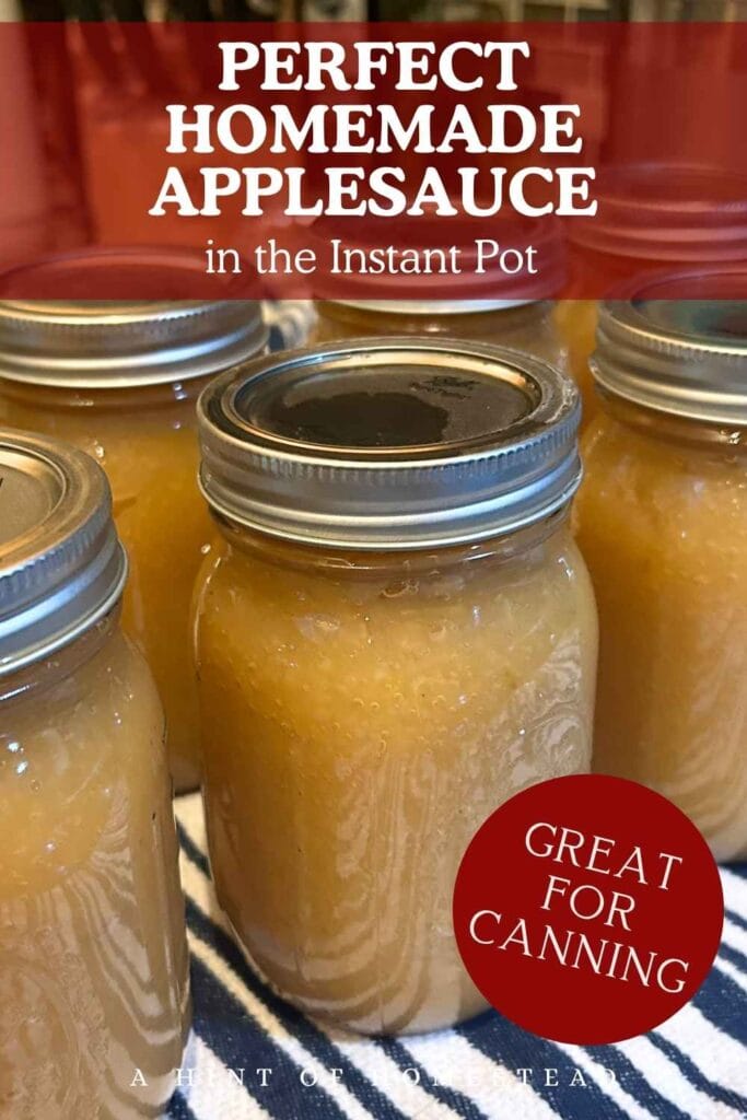 homemade applesauce in the instant pot pinterest image