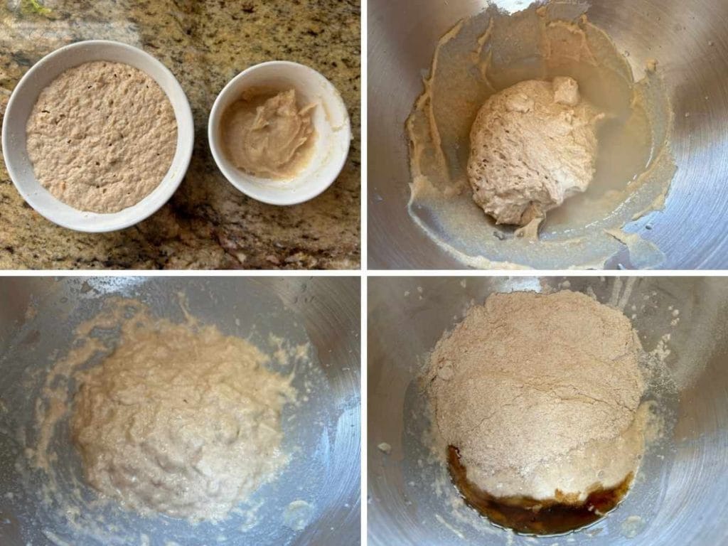 process shots of mixing starters and autolysing dough