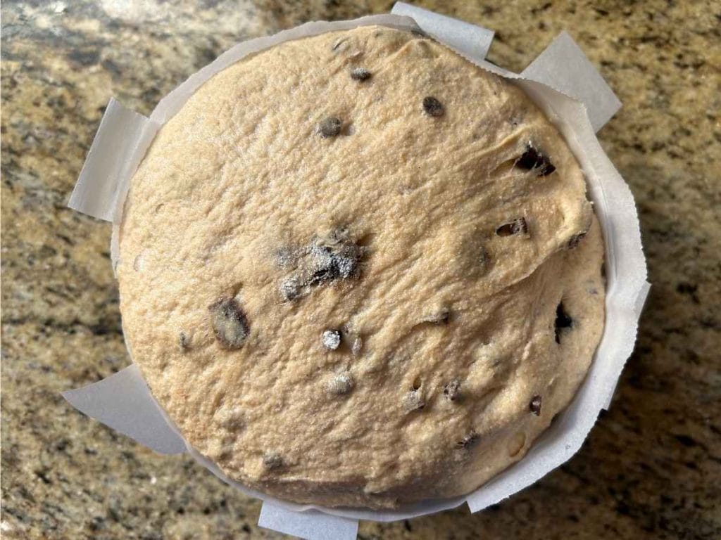 close up of a fully risen cherry chocolate panettone loaf