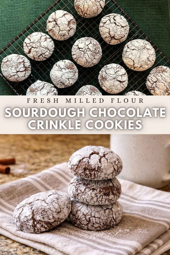 fresh milled flour sourdough chocolate crinkle cookies pinterest image