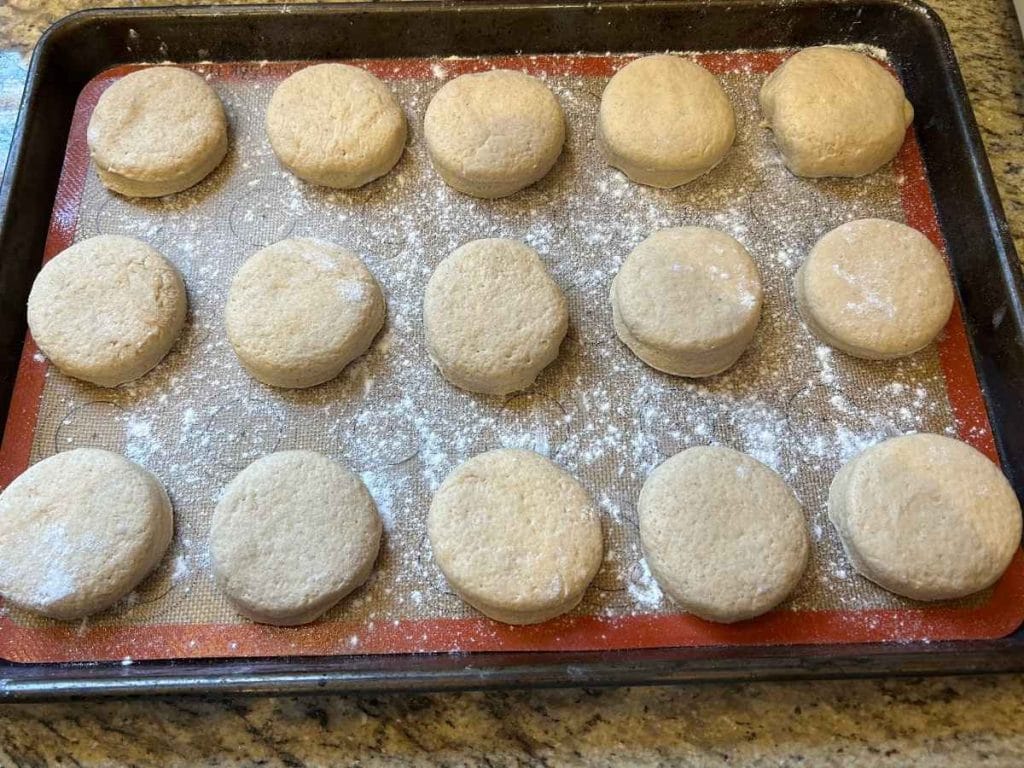 circles of cut dough on a baking sheets rising