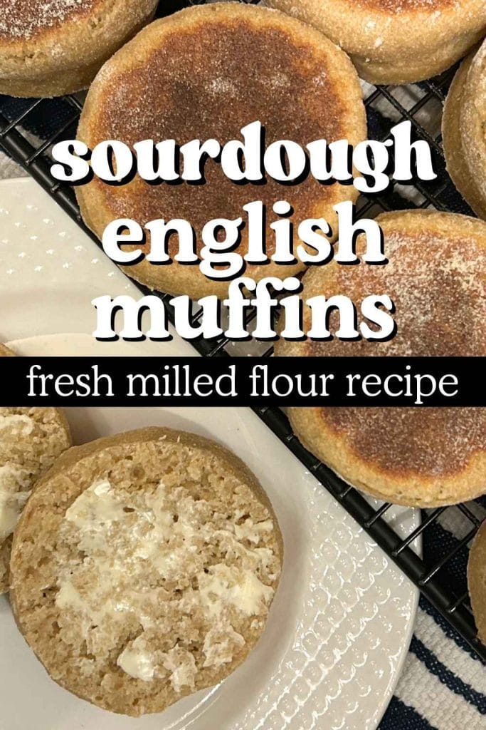 sourdough english muffins fresh milled flour image for pinterest