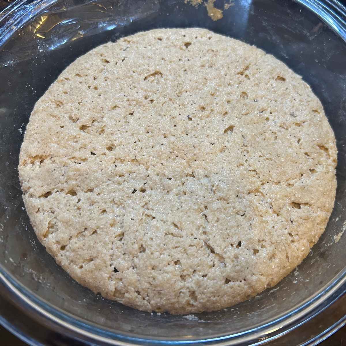 glass bowl full of biga starter