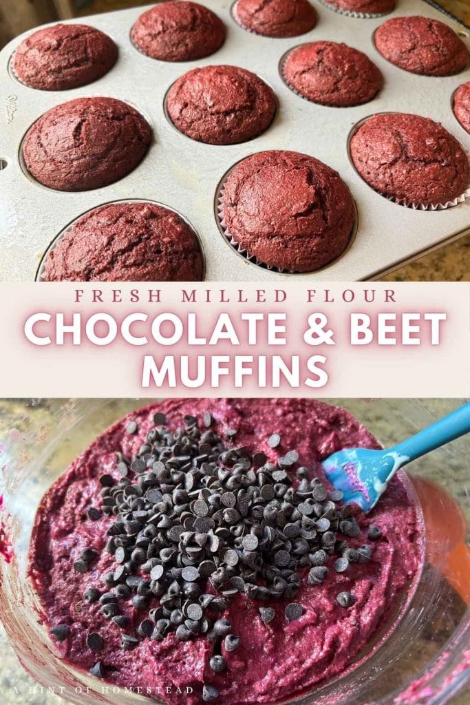 chocolate beet muffin batter in a glass bow and baked muffins for a pinterest image