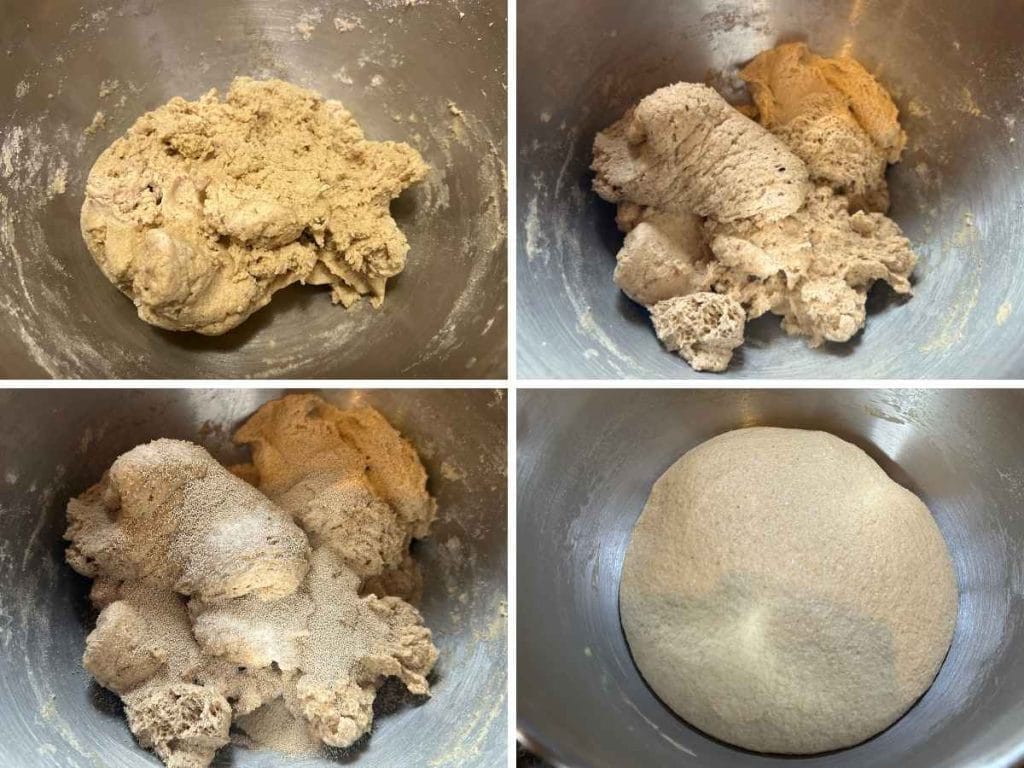 process shots showing a shaggy dough getting mixed with yeast, starter, and salt and then kneaded into a ball