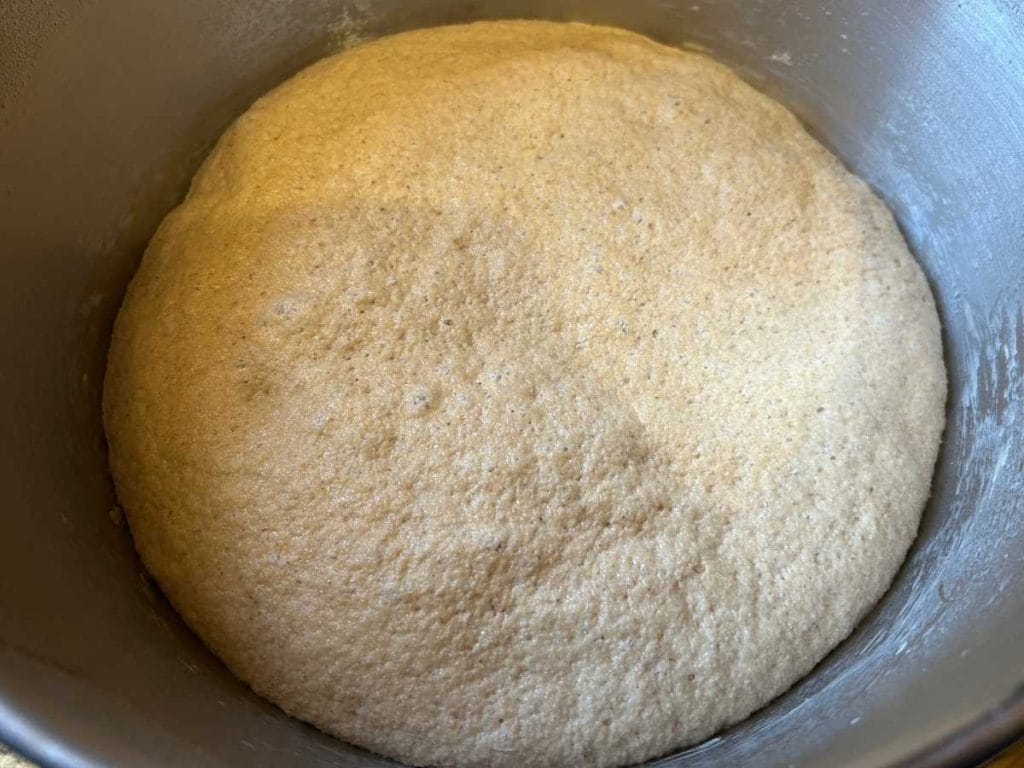 a bowl full of dough after it has bulk risen