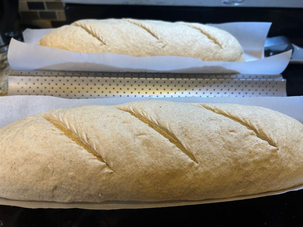 country loaf dough sliced on a tray before baking