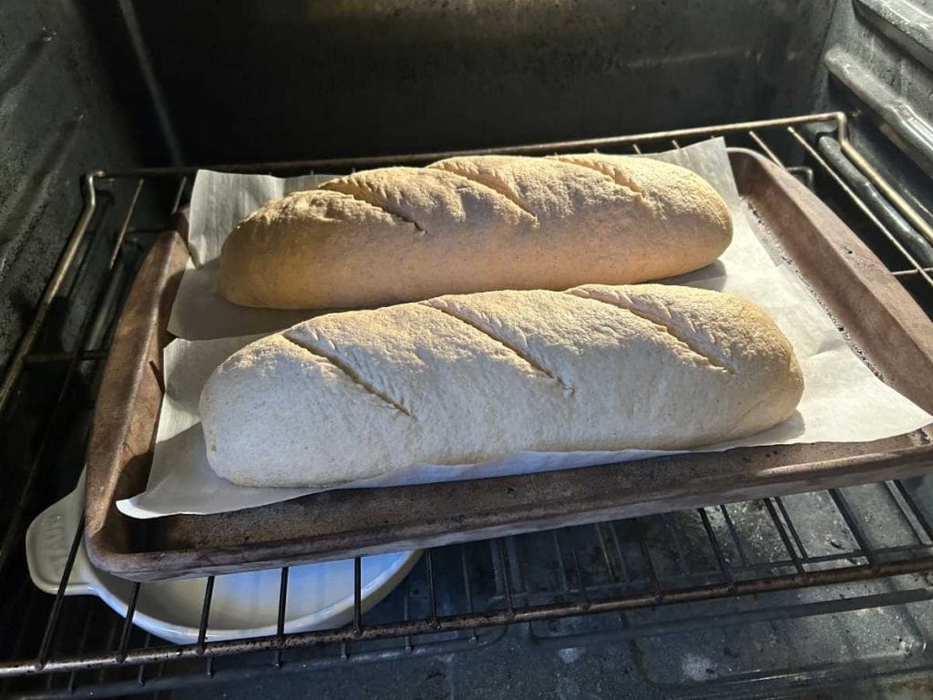 country loaf dough placed on a baking stone in the oven with a bowl of water for steam