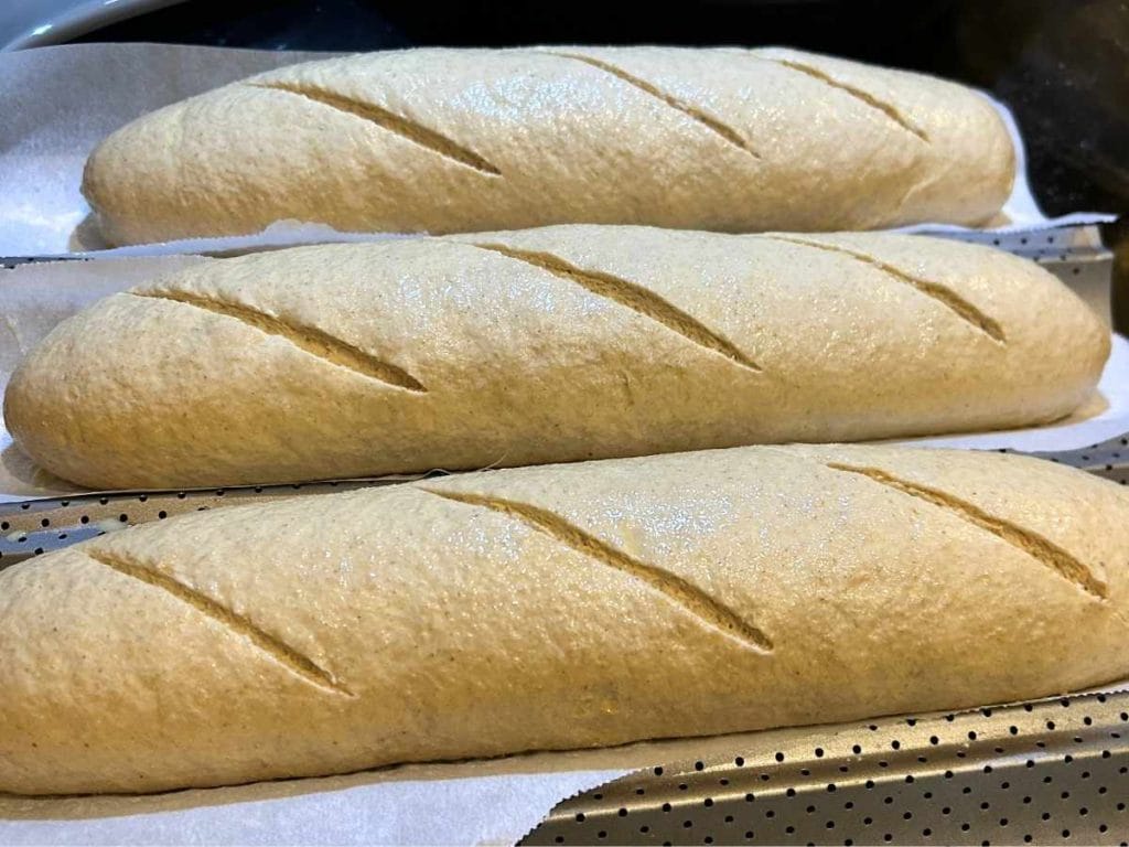 three scored french loaves before baking