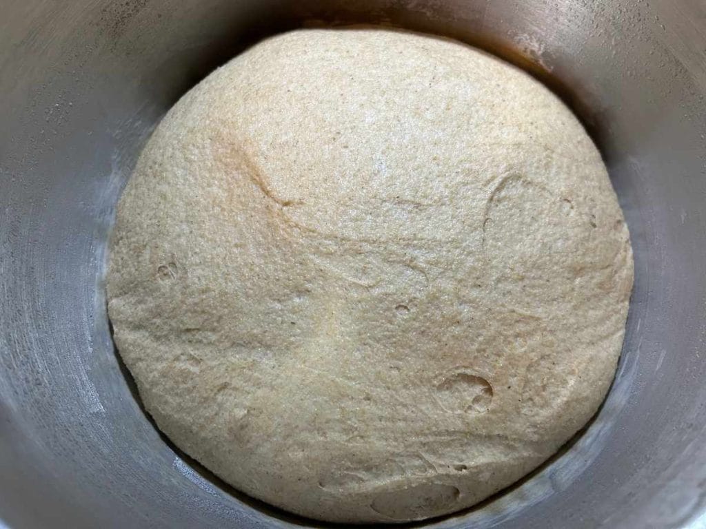 bulk risen dough in a mixing bowl