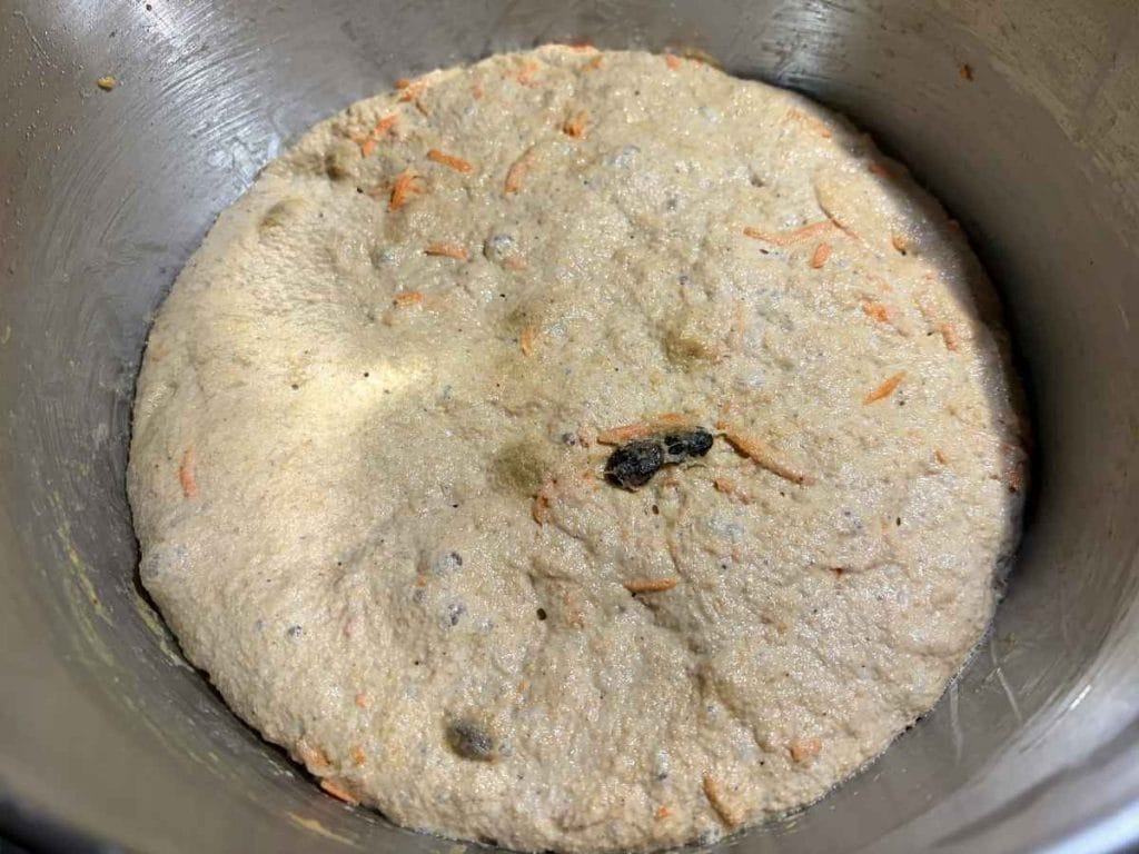 sourdough carrot cake dough after bulk fermentation