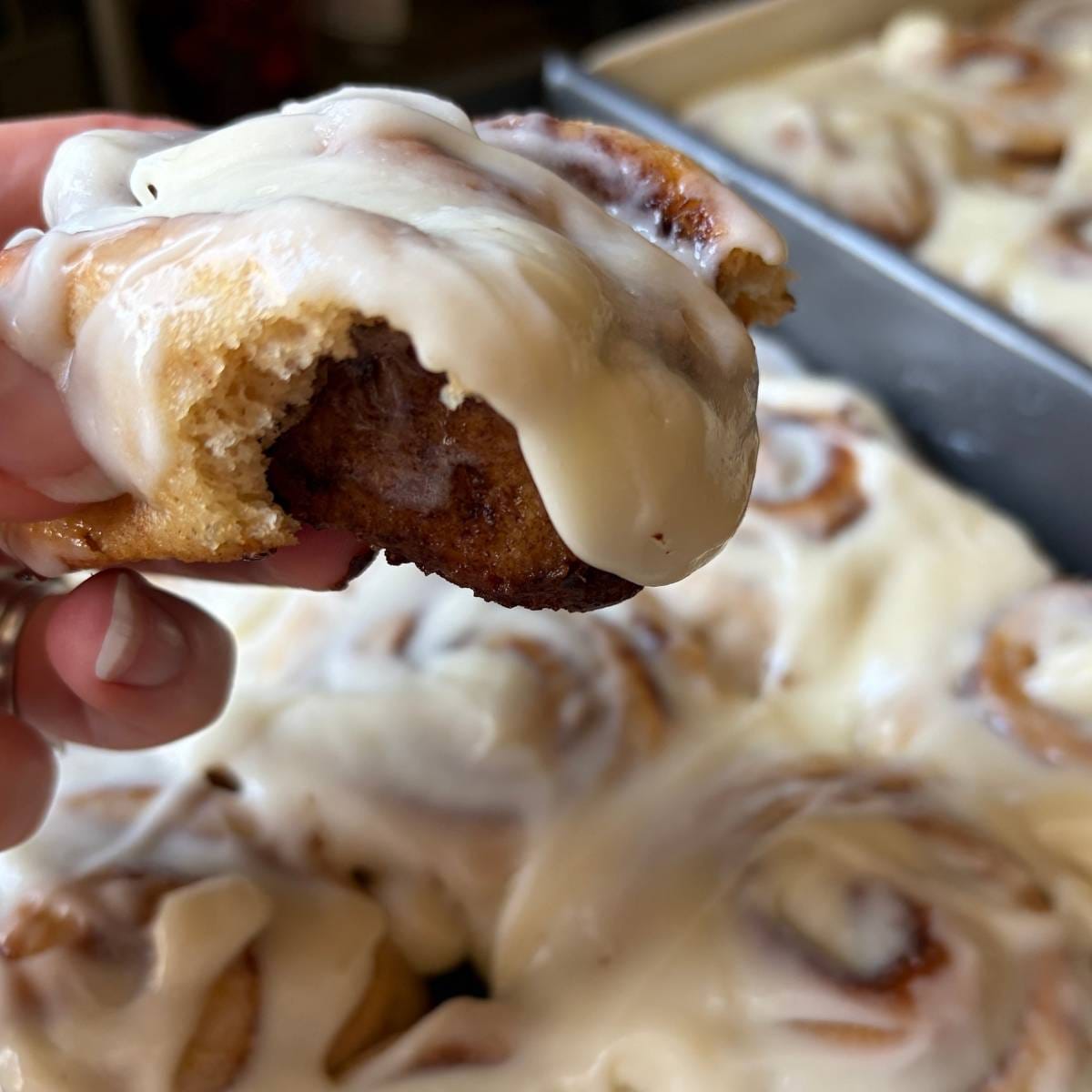 holding one warm cinnamon roll over the pan of the batch