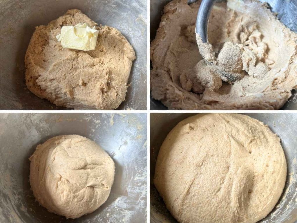 adding butter and yeast to dough and then kneading and rising