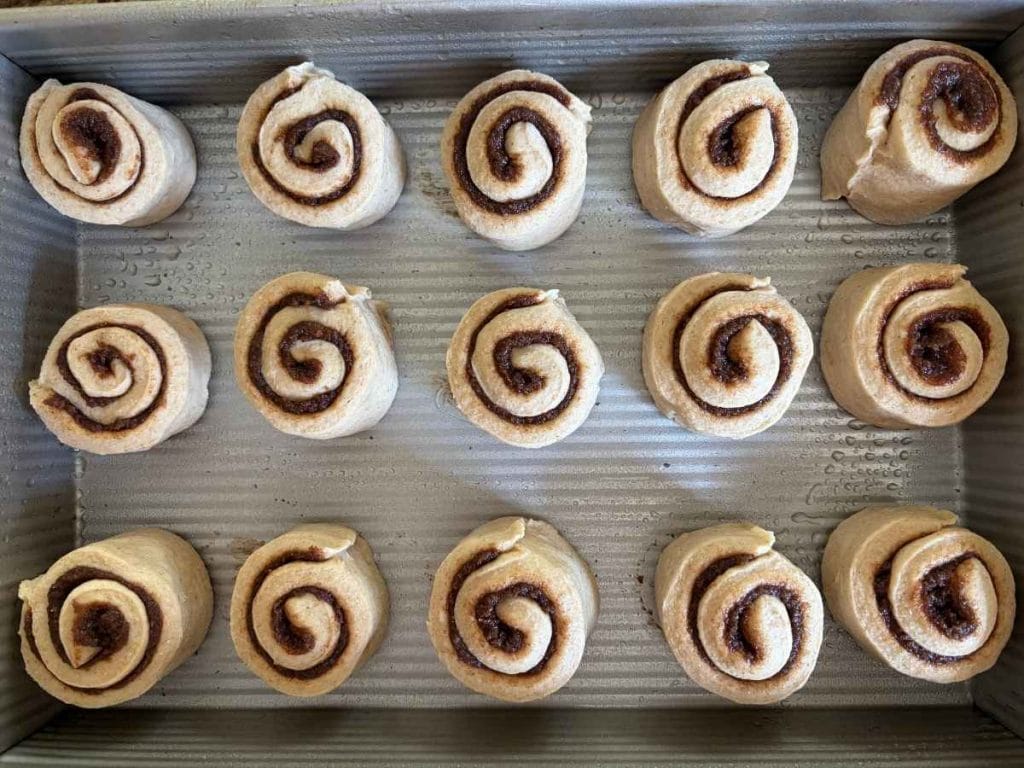 rolled cinnamon rolls in a pan before rising