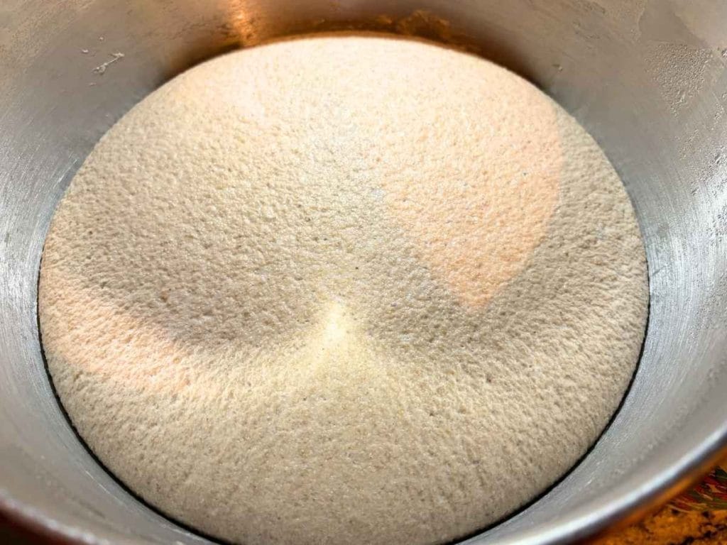 bulk fermented fresh milled sourdough dough in a metal bowl