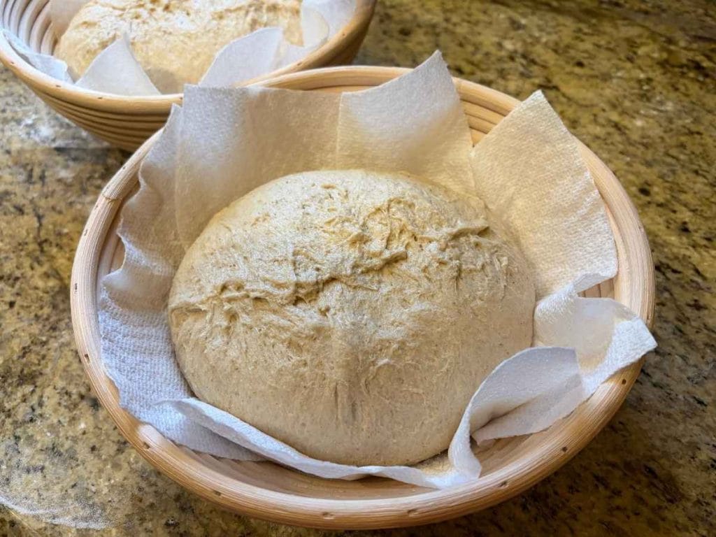 sourdough shaped and placed in a lined banneton