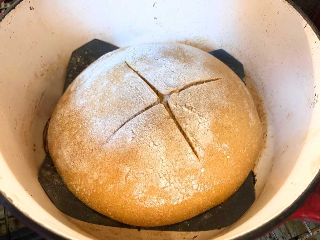 sliced top of baking whole wheat sourdough loaf