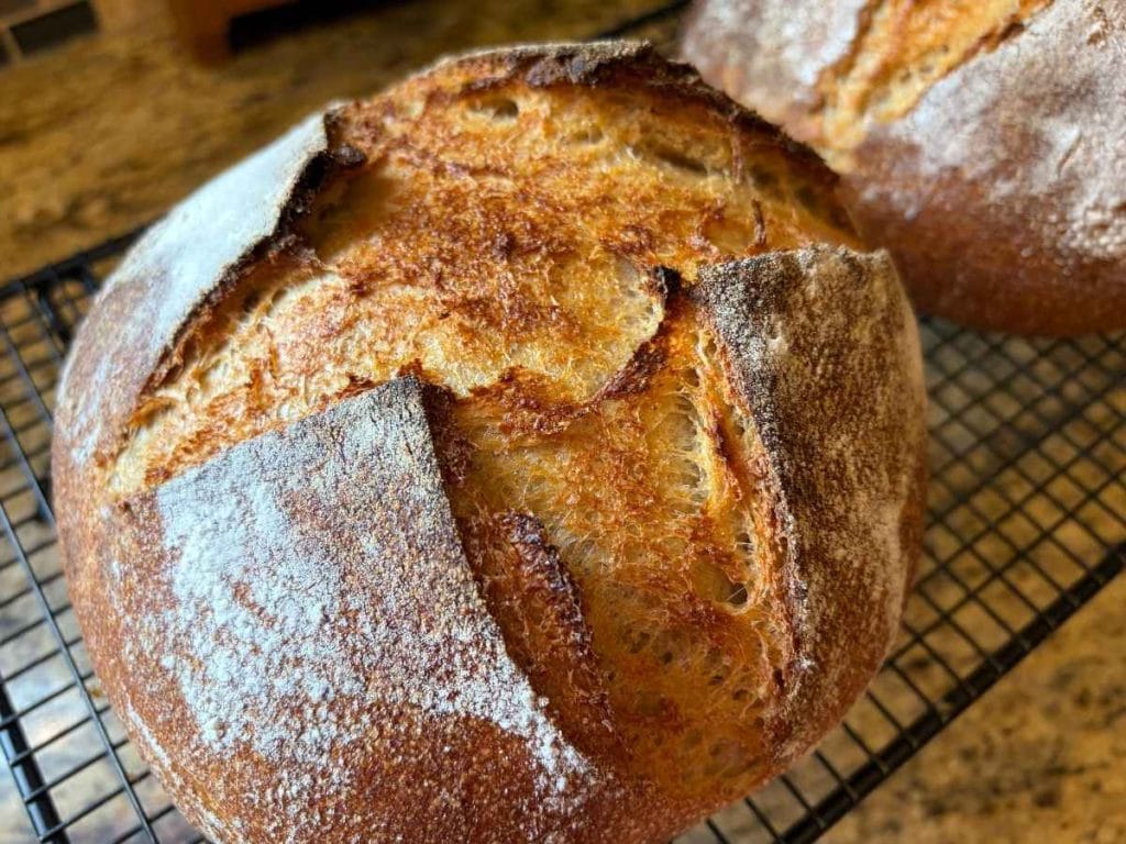 close up shot of a fresh milled sourdough boule on a cooling rack