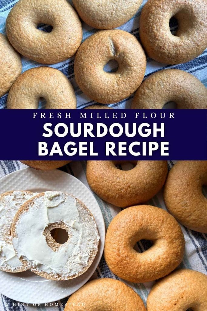 fresh milled flour sourdough bagels pinterest image