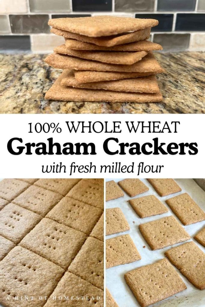 whole wheat graham crackers pinterest image