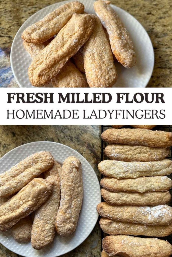 baked whole wheat lady fingers arranged on a plate