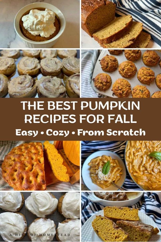 collage of pumpkin bakes Pinterest Image