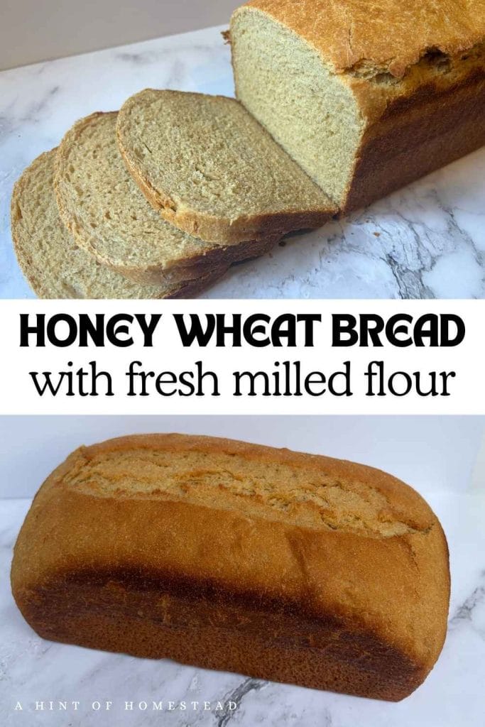 honey wheat bread pinterest image