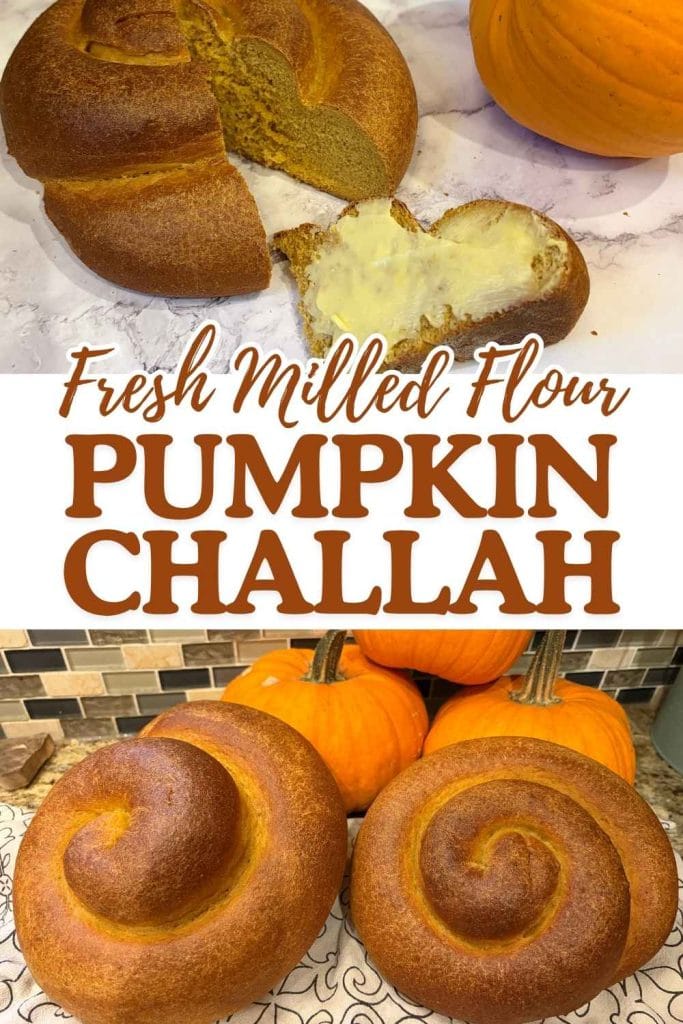 fresh milled flour pumpkin challah pinterest image