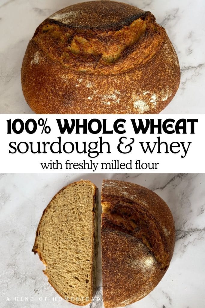 whole wheat sourdough whey bread pinterest image