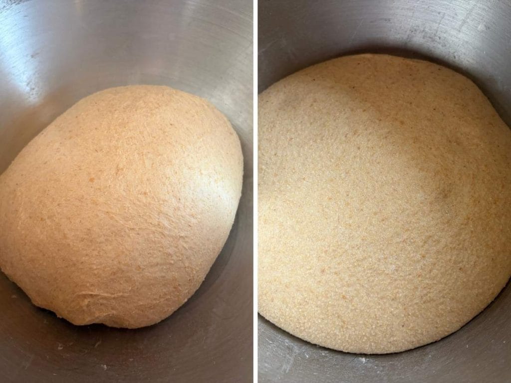sourdough whey bread after kneading then after bulk rise