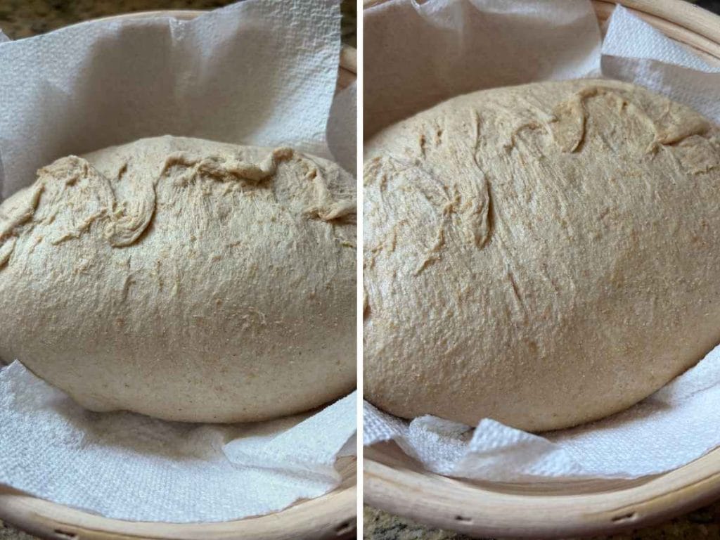 sourdough whey loaf in a banneton after being shaped and after the fridge rise