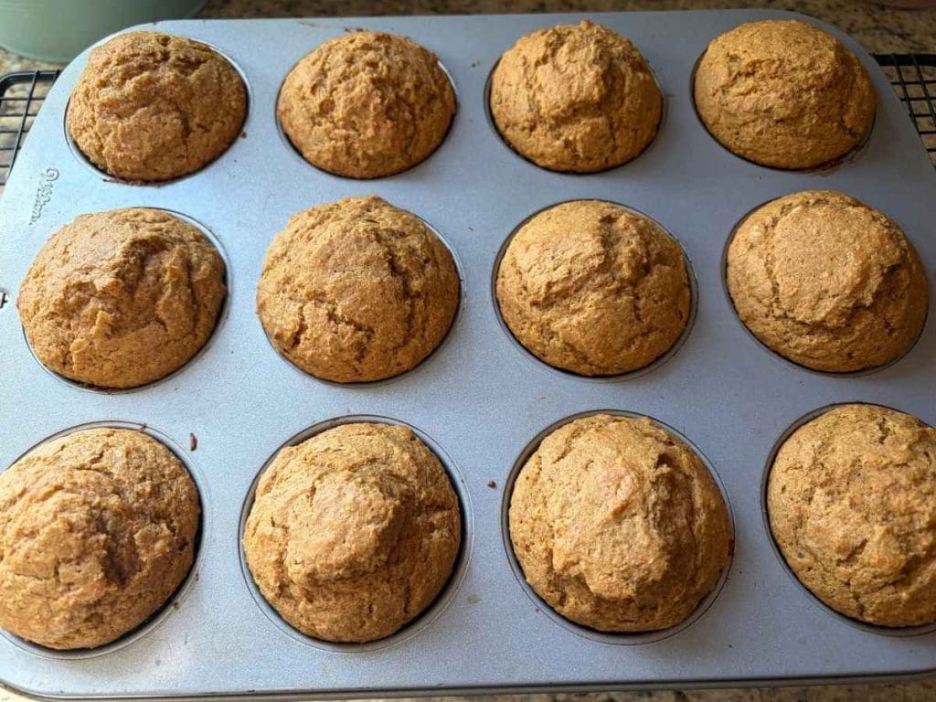muffins baked in a muffin pan, golden and domed