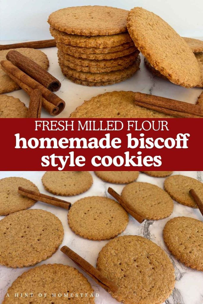 spiced graham crackers laid out with cinnamon sticks and stacked up